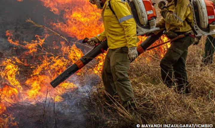 Governo repassa R$ 337 milhões para combate a incêndios e desmatamento