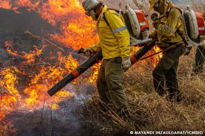 Governo repassa R$ 337 milhões para combate a incêndios e desmatamento