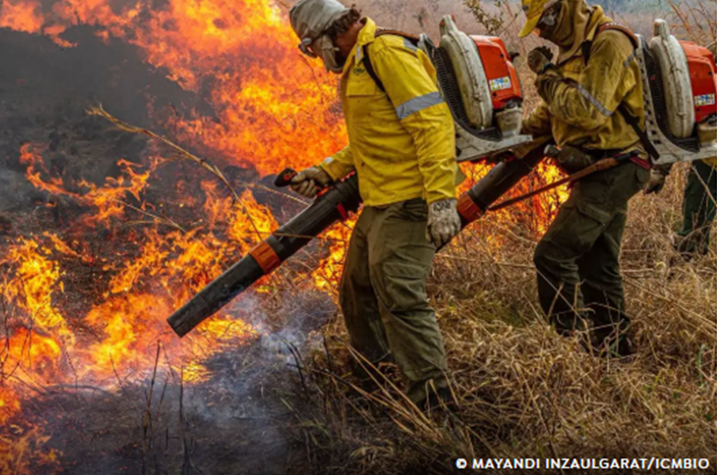 Governo repassa R$ 337 milhões para combate a incêndios e desmatamento